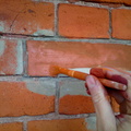 010.JPG